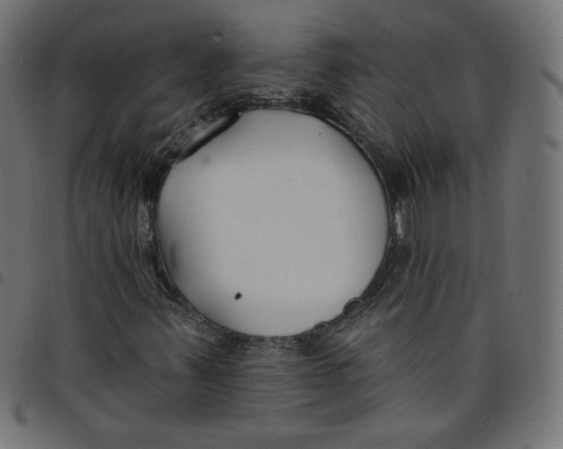 X0000098111347200804251418