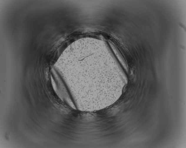 X0000098111348200804251418