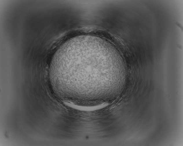 X0000098111349200804251418