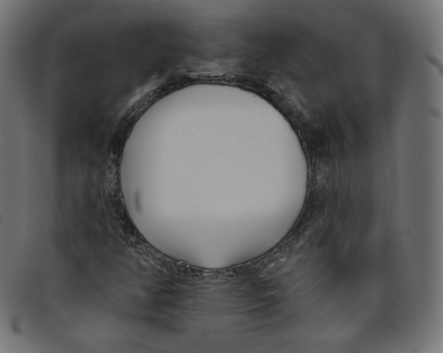 X0000098111350200804251418