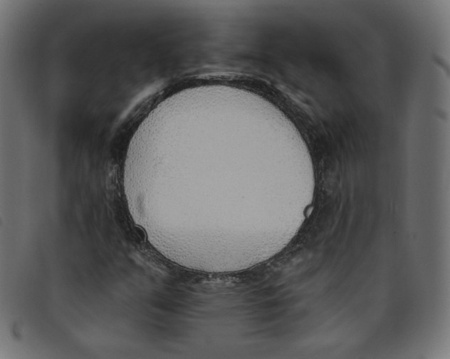 X0000098111351200804251418