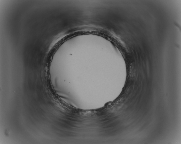 X0000098111352200804251418