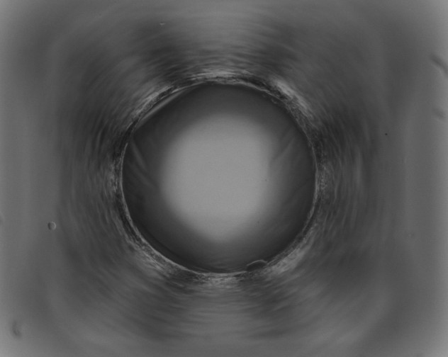 X0000098111353200804251418