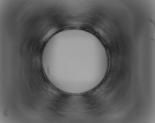 X0000098111354200804251418