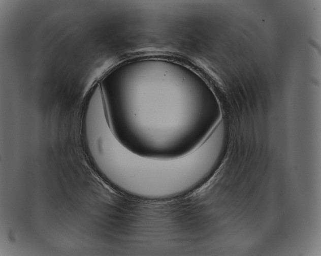 X0000098111357200804251418