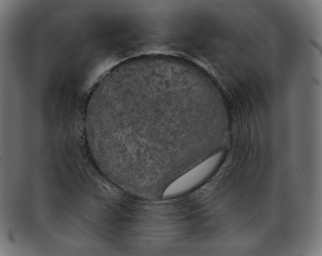 X0000098111359200804251418