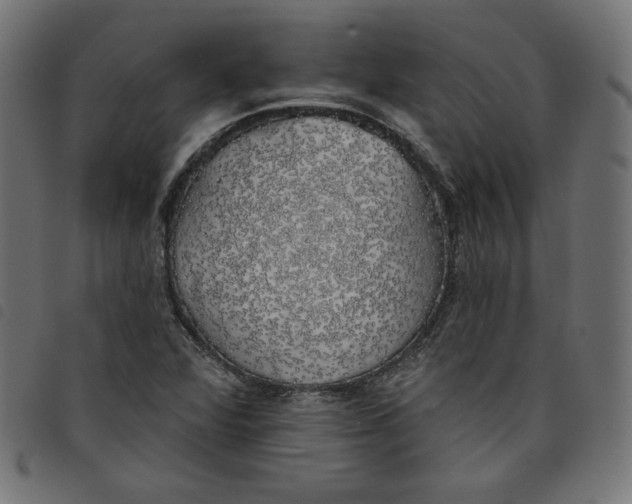 X0000098111360200804251418