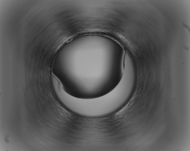 X0000098111361200804251418