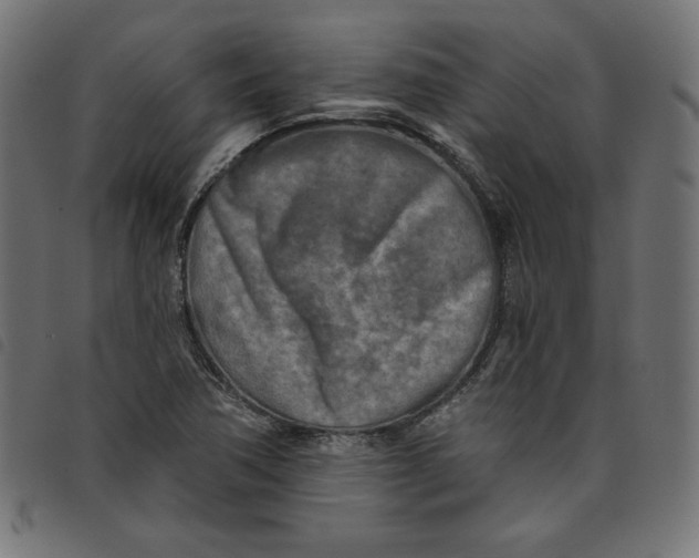 X0000098111362200804251418