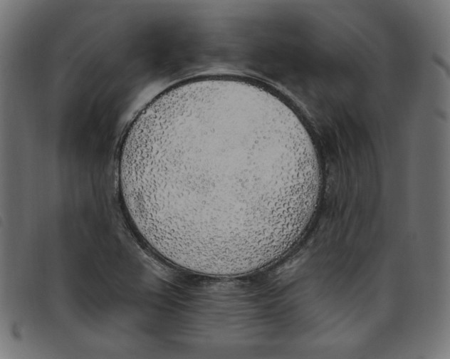 X0000098111367200804251418