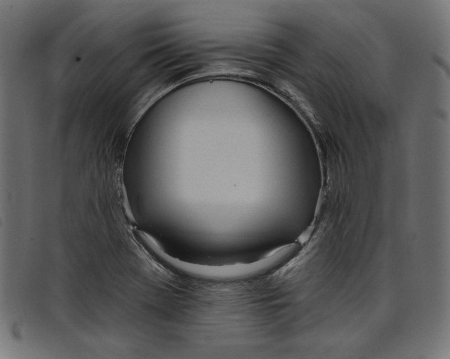 X0000098111369200804251418