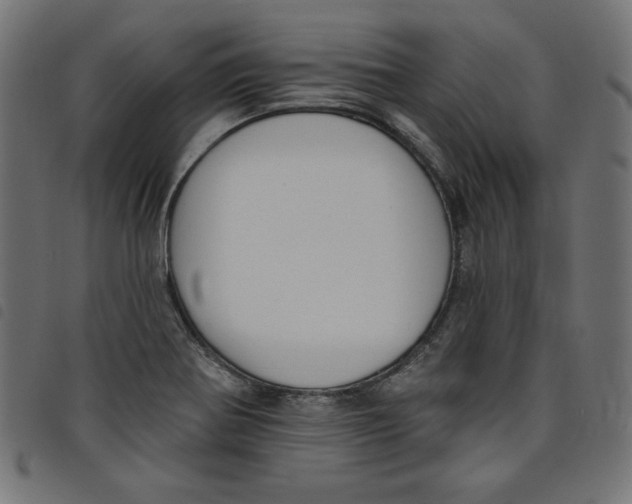 X0000098111370200804251418