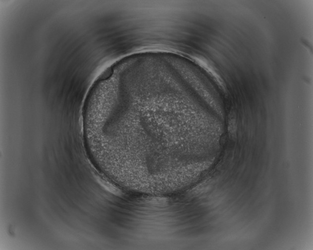 X0000098111372200804251418