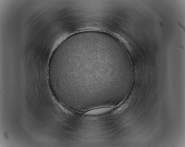 X0000098111373200804251418