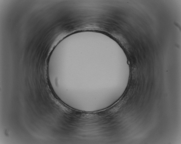 X0000098111374200804251418