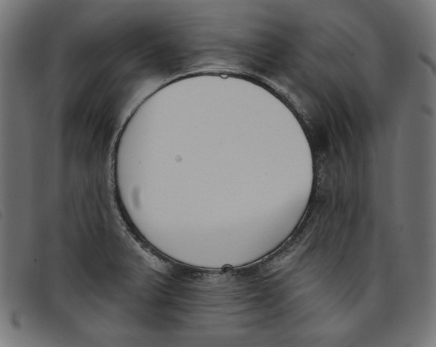 X0000098111375200804251418