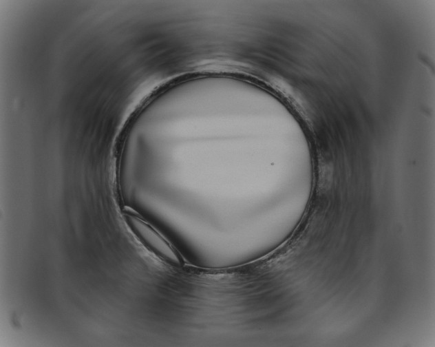 X0000098111376200804251418