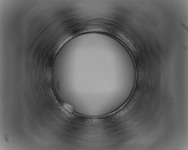 X0000098111377200804251418