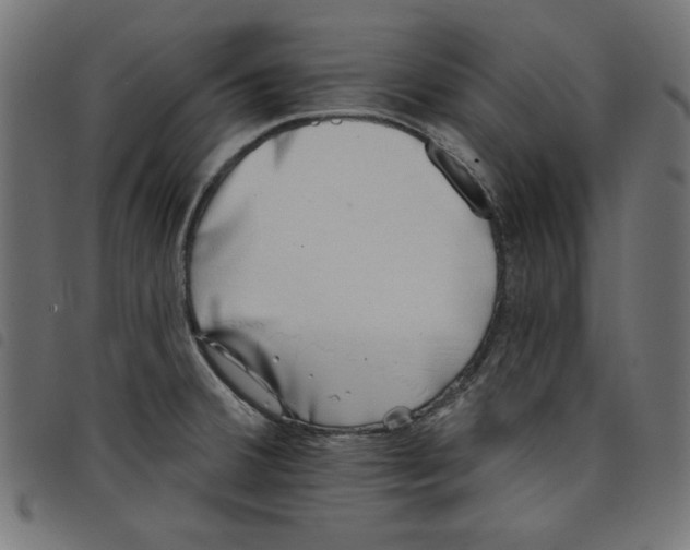 X0000098111380200804251418