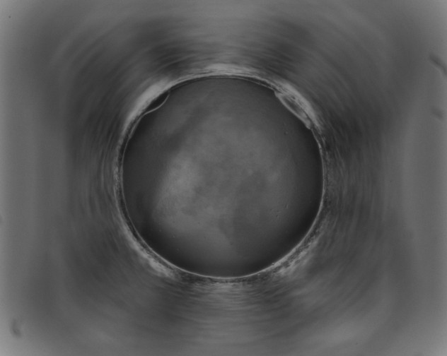 X0000098111381200804251418