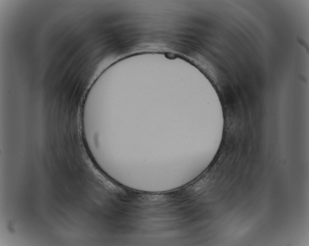 X0000098111382200804251418