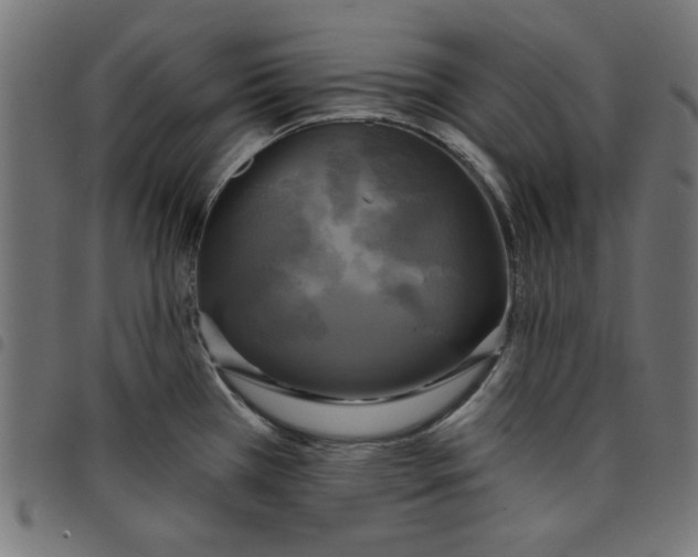 X0000098111385200804251418