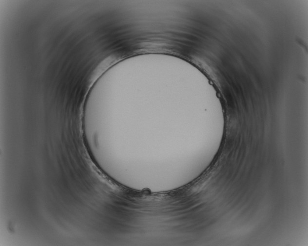 X0000098111386200804251418