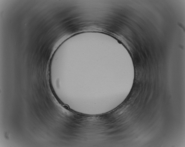 X0000098111387200804251418