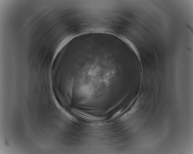 X0000098111389200804251417