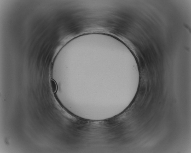 X0000098111390200804251417