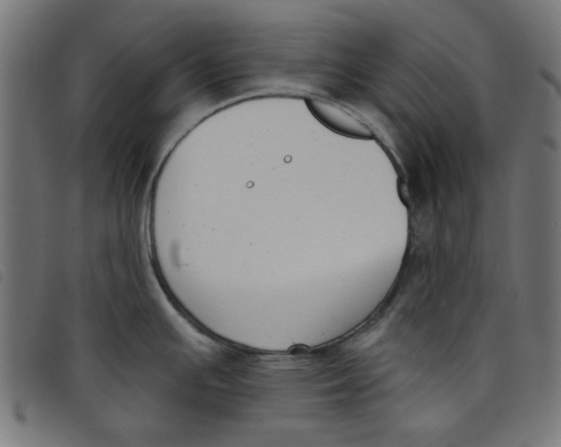 X0000098111391200804251417