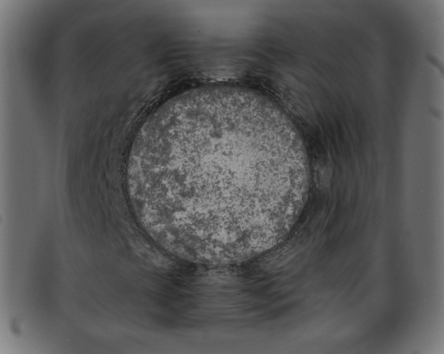 X0000098111393200804251417