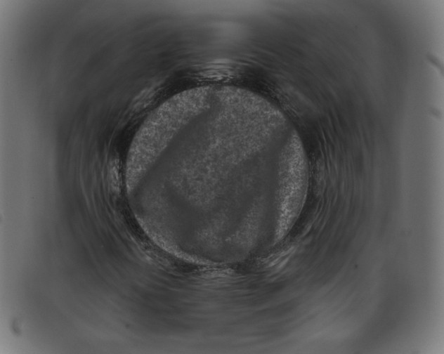 X0000098111394200804251417