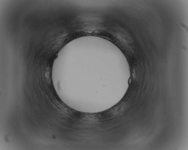 X0000098111396200804251417