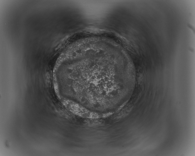 X0000098111397200804251417