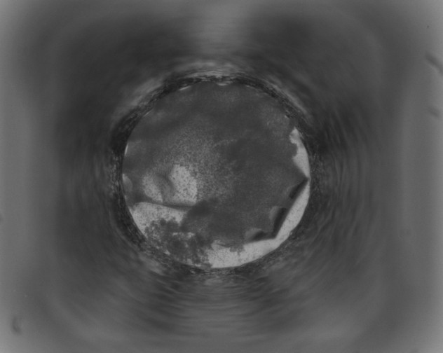 X0000098111399200804251417