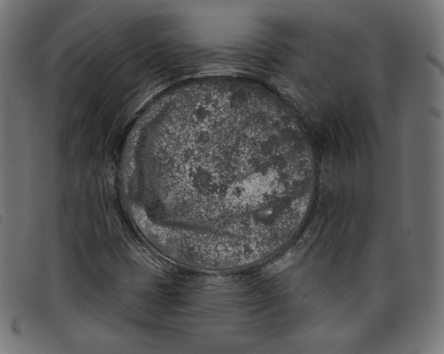 X0000098111401200804251417