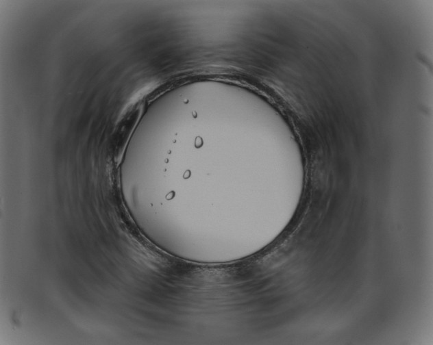 X0000098111402200804251417