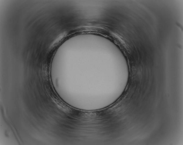 X0000098111403200804251417