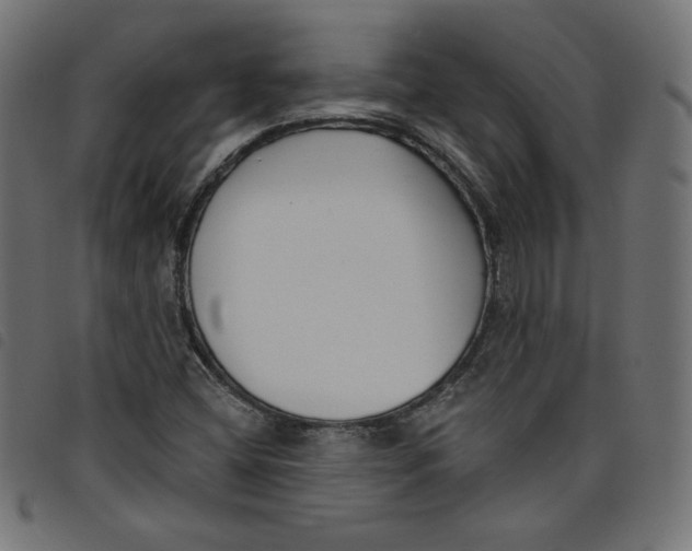 X0000098111404200804251417