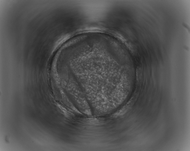 X0000098111405200804251417