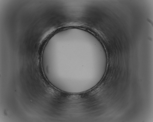 X0000098111406200804251417