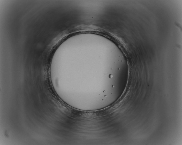 X0000098111407200804251417