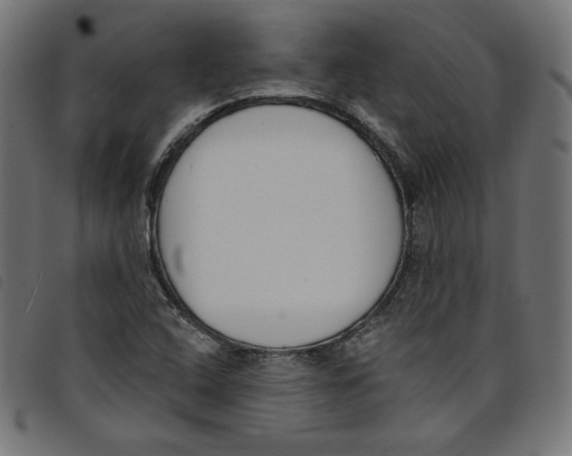 X0000098111408200804251417