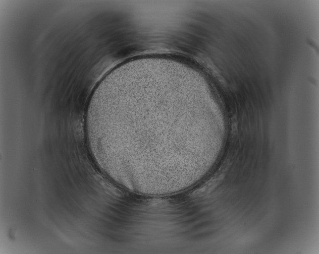 X0000098111409200804251417