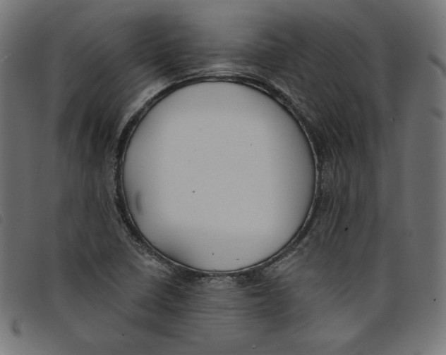 X0000098111410200804251417