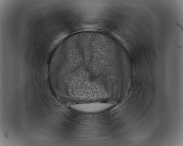 X0000098111411200804251417