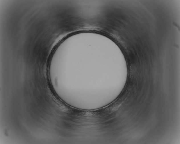 X0000098111412200804251417