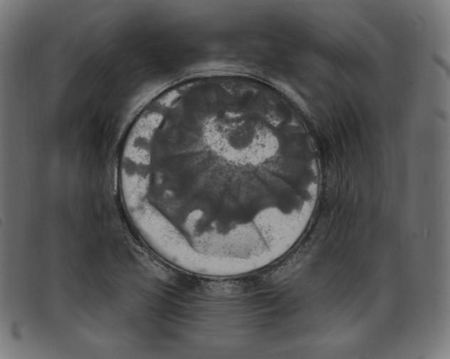 X0000098111413200804251417