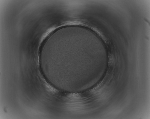 X0000098111414200804251417